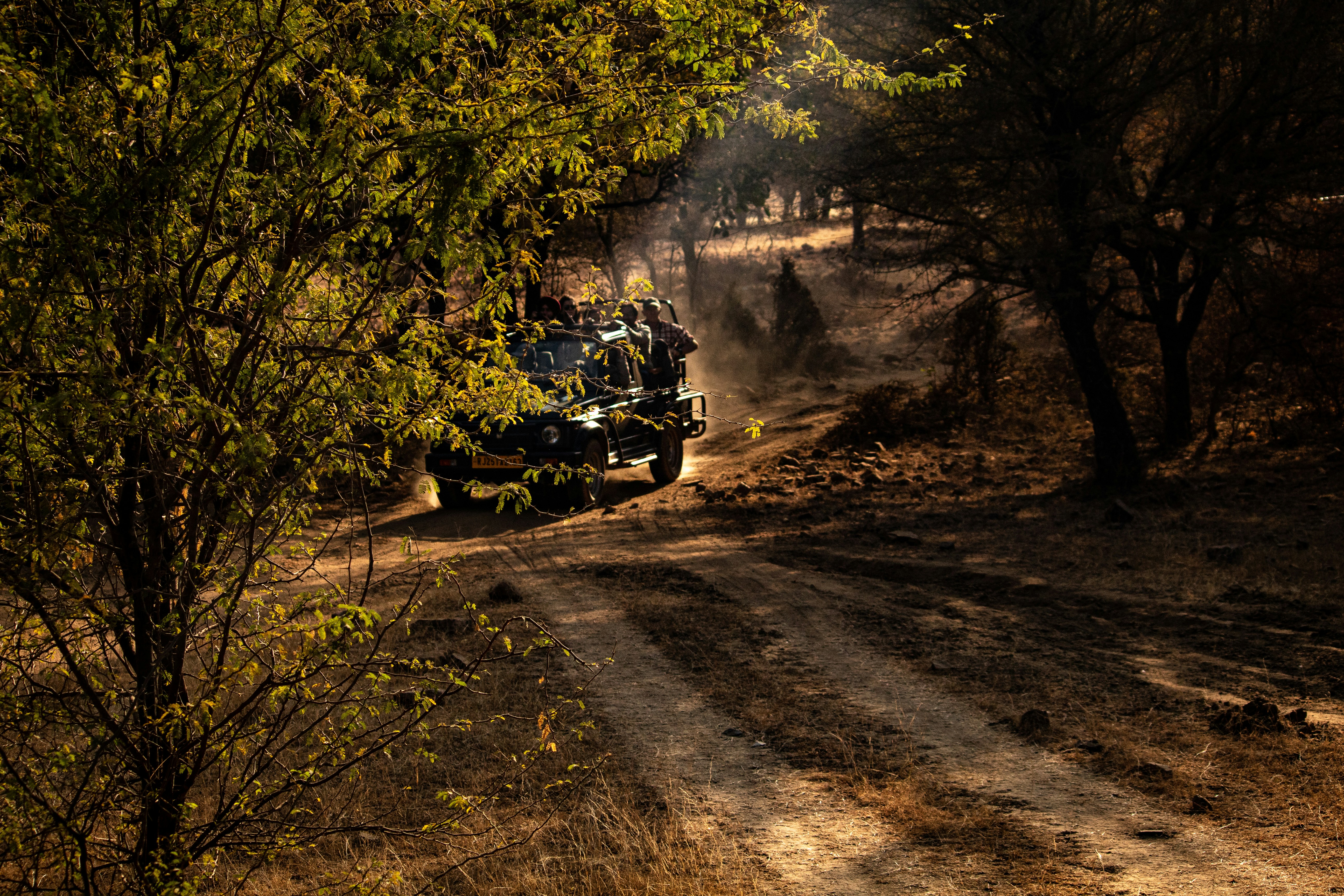 Ranthambore Tourism Overview